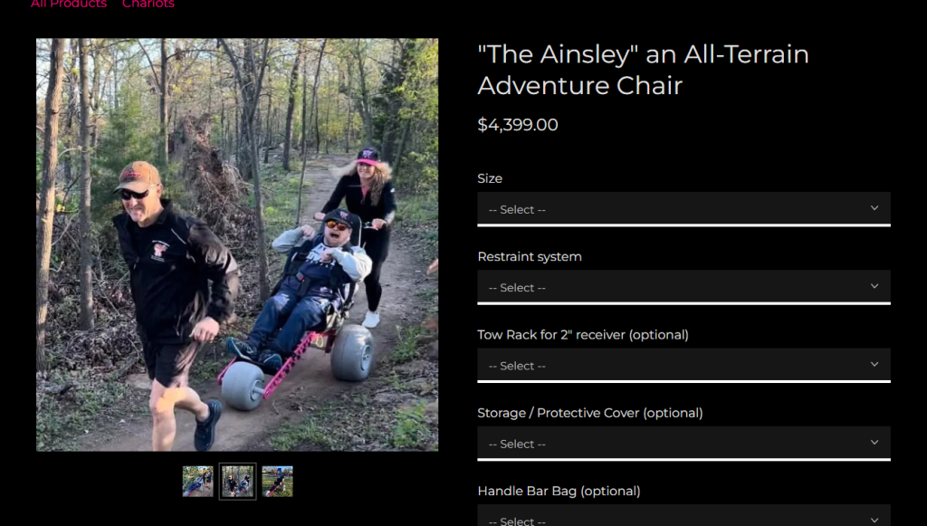 Screenshot of Ainsley's Angels website.