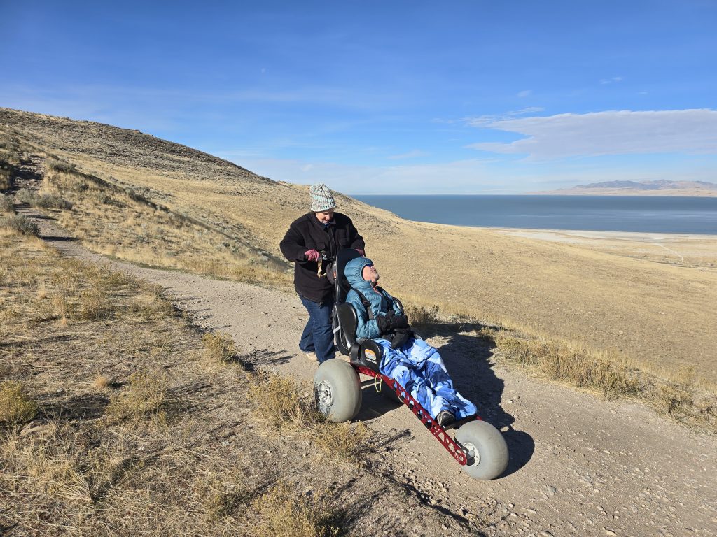 Manual all-terrain wheelchair