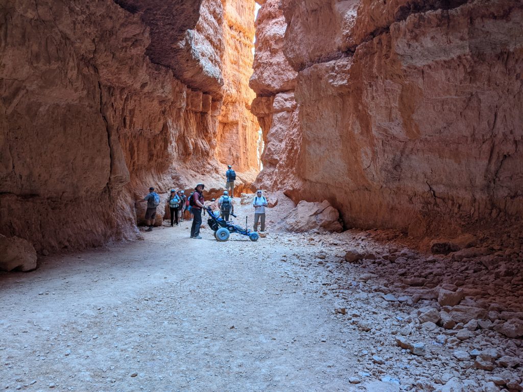 At the bottom of Wall Street Bryce Canyon National Park.