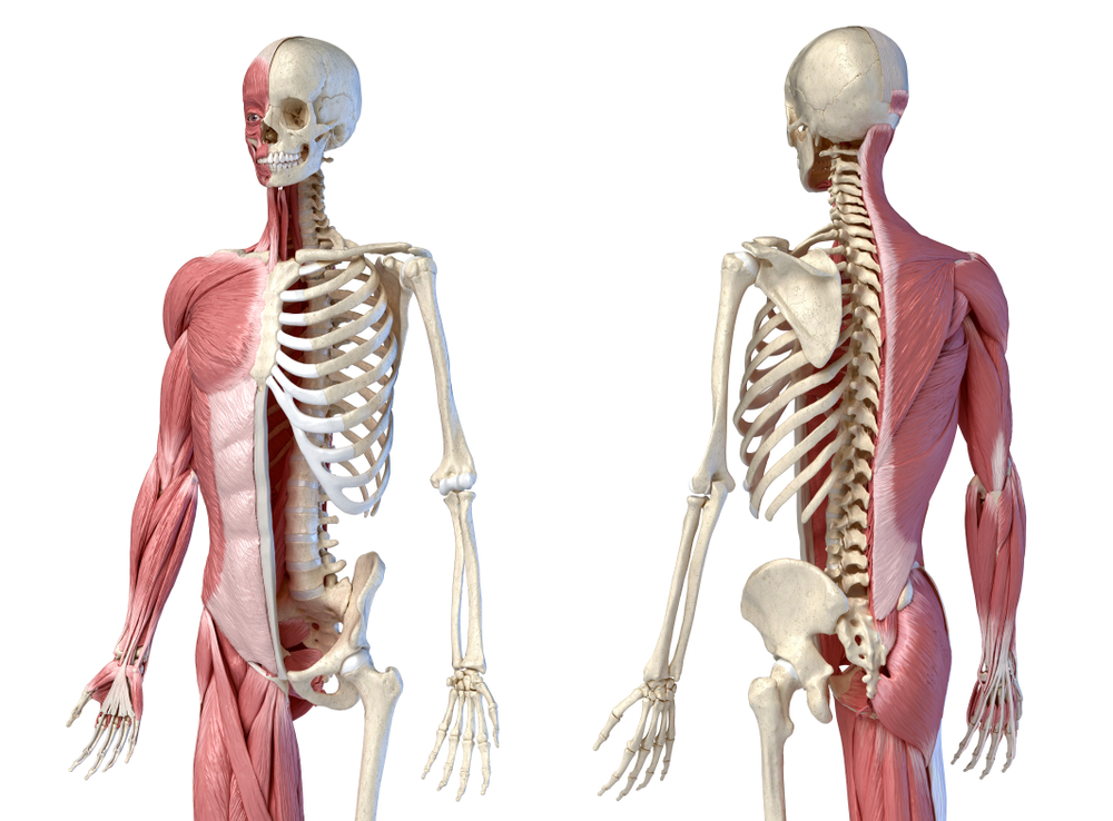 Musculoskeletal Disorders