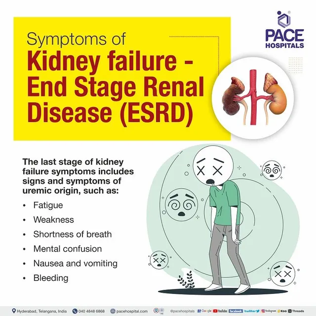 Renal Disease